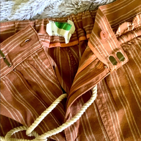 Anthropologie Terracotta Pants - Picture 7 of 16